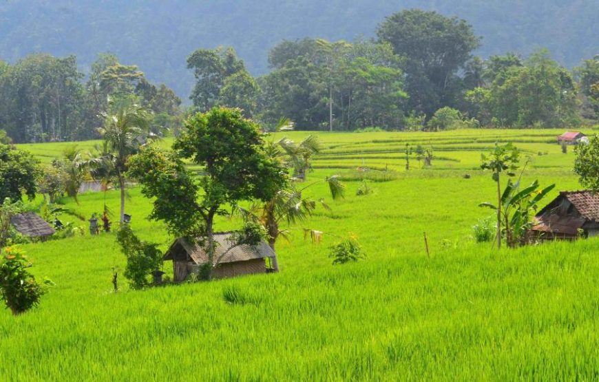 Samanvaya (1BR)  – Sidemen