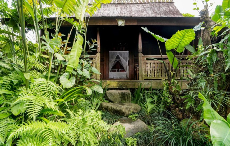 Amatara Arya (3BR/5BR) – Ubud