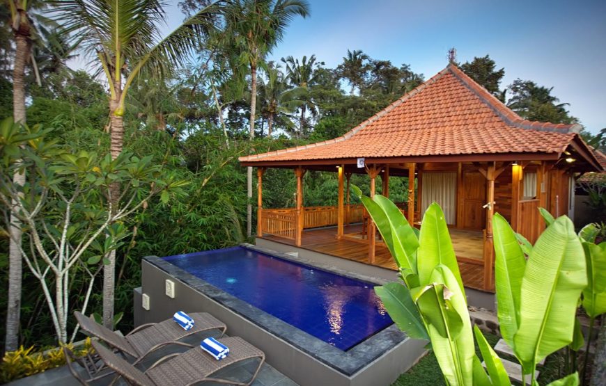 Ubud Heaven Sayan  (1BR/2BR/3BR) – Ubud
