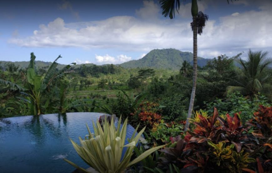 Subak Tabola Villa (1BR) – Sidemen